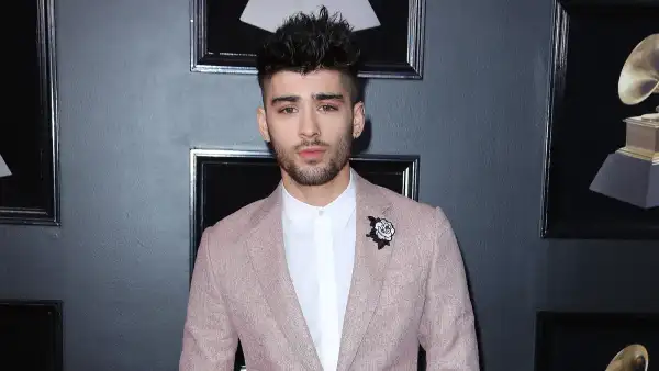 Zayn Malik Dyes His Hair Pink
