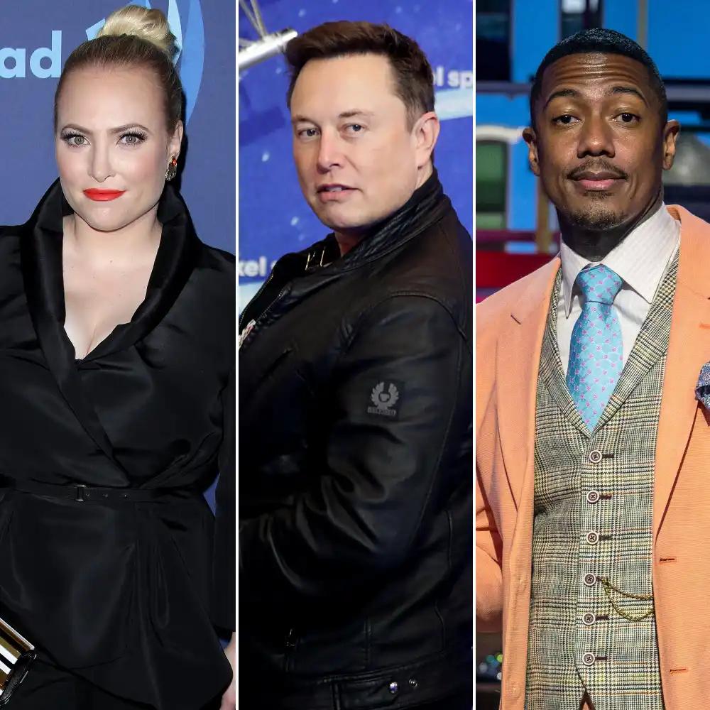 Meghan McCain Criticizes Elon Musk and Nick Cannon&rsquo;s &lsquo;Impregnate the Planet&rsquo; Idea: The 'Creepiest Tag Team'
