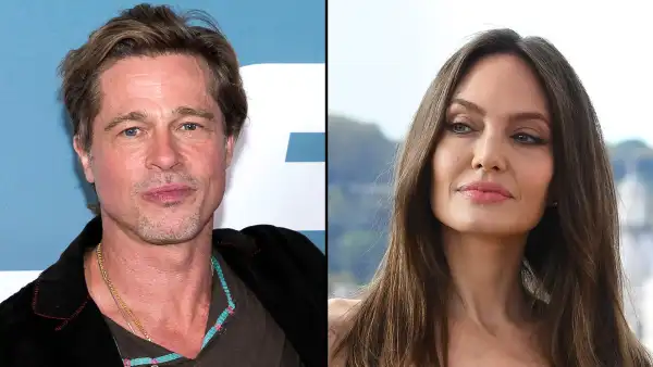 Why Brad Pitt Thinks Angelina Jolie Sold Stake in Wine Brand in ‘Complicated’ Case
