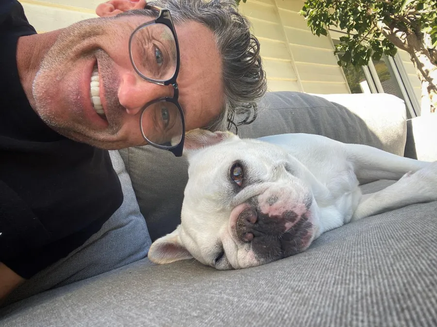 Celebrities Who Love French Bulldogs: Lady Gaga, Reese Witherspoon, Megan Thee Stallion and More Pat Demsey