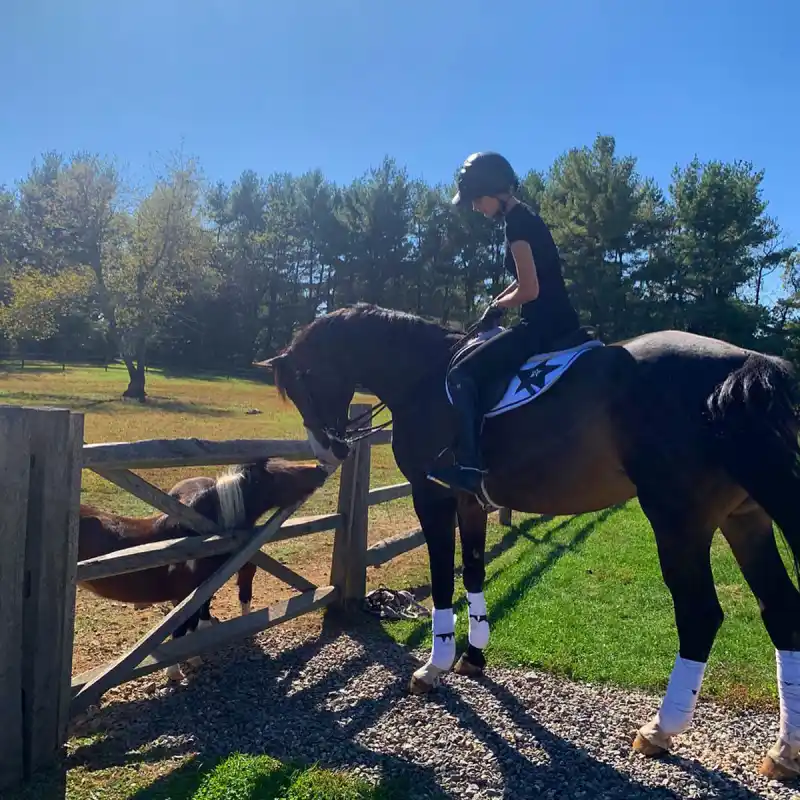 Celebrity Equestrians See Kaley Cuoco Prince William Mary-Kate Olsen and More Stars Riding Horses