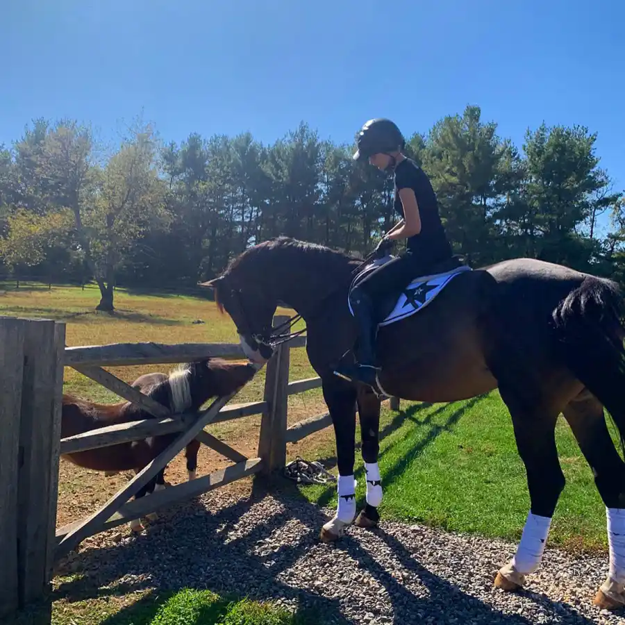 Celebrity Equestrians See Kaley Cuoco Prince William Mary-Kate Olsen and More Stars Riding Horses