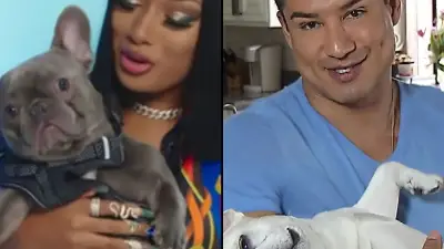 Celebrities Who Love French Bulldogs: Lady Gaga, Reese Witherspoon, Megan Thee Stallion and More Megan Thee Stallion, Mario Lopez