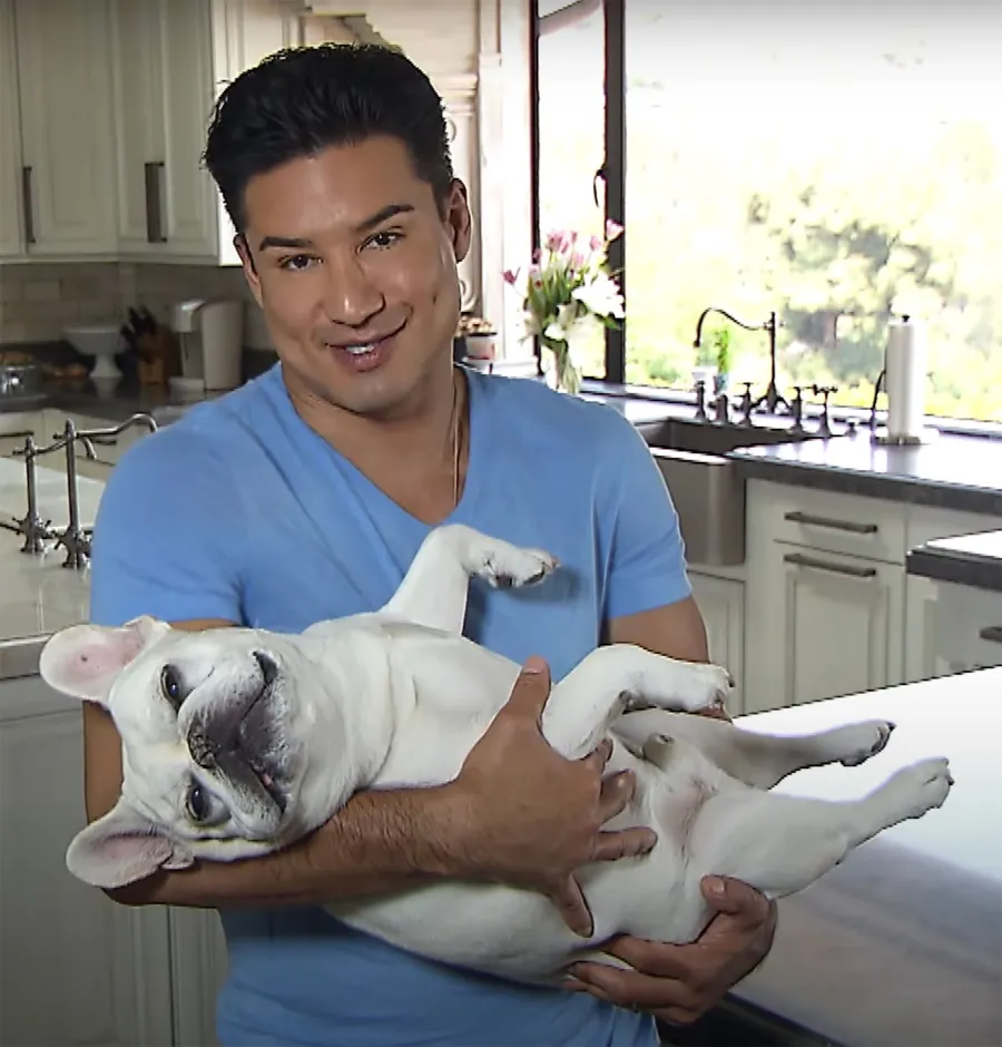Celebrities Who Love French Bulldogs: Lady Gaga, Reese Witherspoon, Megan Thee Stallion and More Mario Lopez