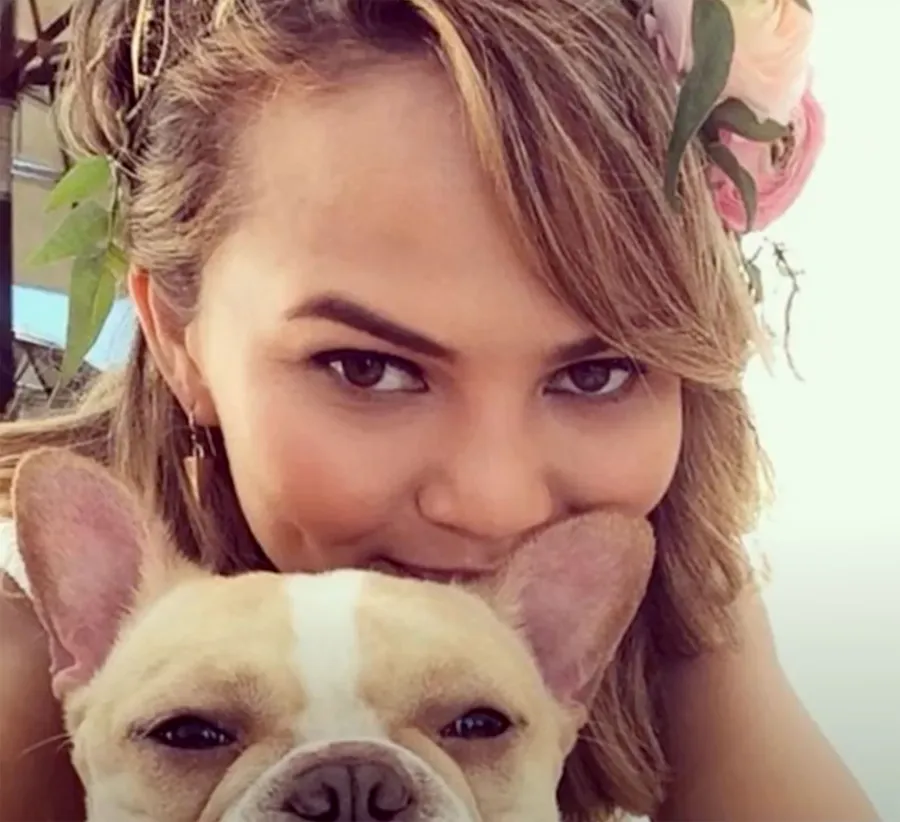 Celebrities Who Love French Bulldogs: Lady Gaga, Reese Witherspoon, Megan Thee Stallion and More Chrissy Tiegen