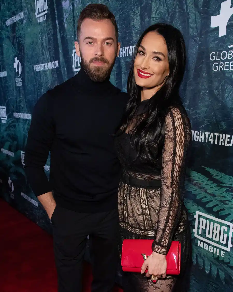 DWTS Spouses Artem Nikki