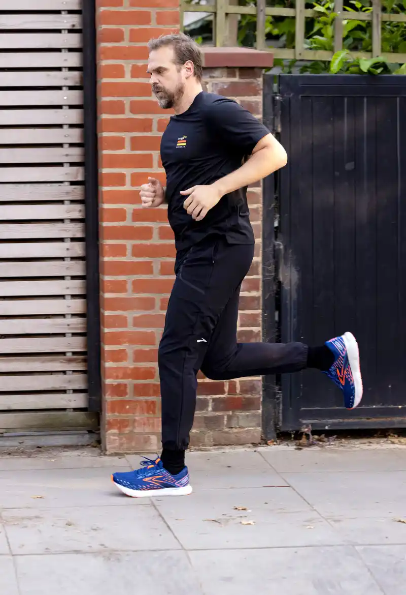 David Harbour Running Up That Hill Hot Pics