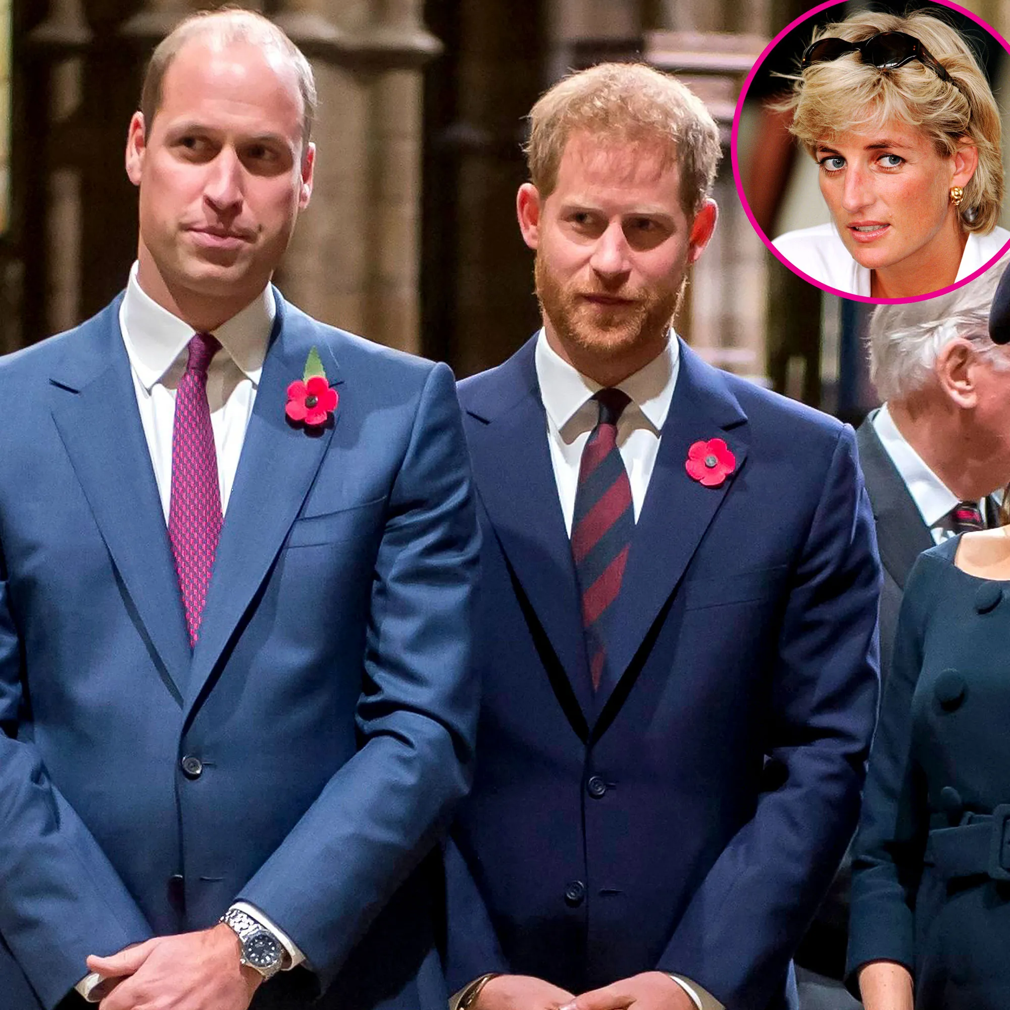 Investigator Details 'Emotional' Talk With William, Harry Amid Diana's Death