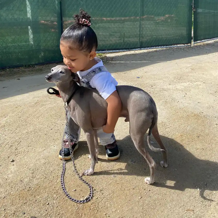 Precious Pooches! See Kardashian-Jenner Kids' Snuggling Their Sweetest Pets