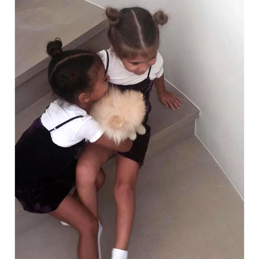 Precious Pooches! See Kardashian-Jenner Kids' Snuggling Their Sweetest Pets