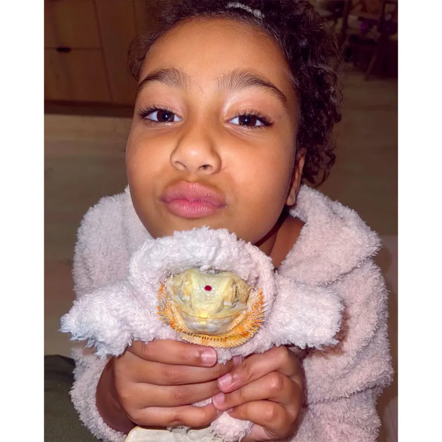 Precious Pooches! See Kardashian-Jenner Kids' Snuggling Their Sweetest Pets