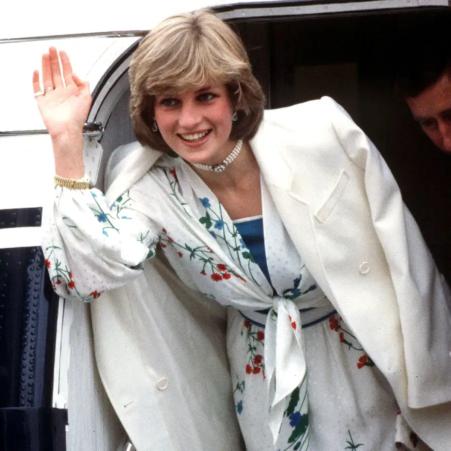 Protecting Diana Book Revelations