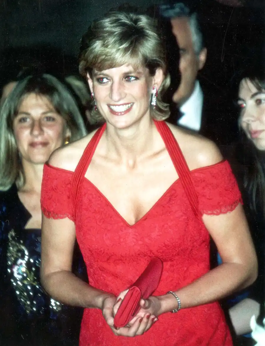 Protecting Diana Book Revelations