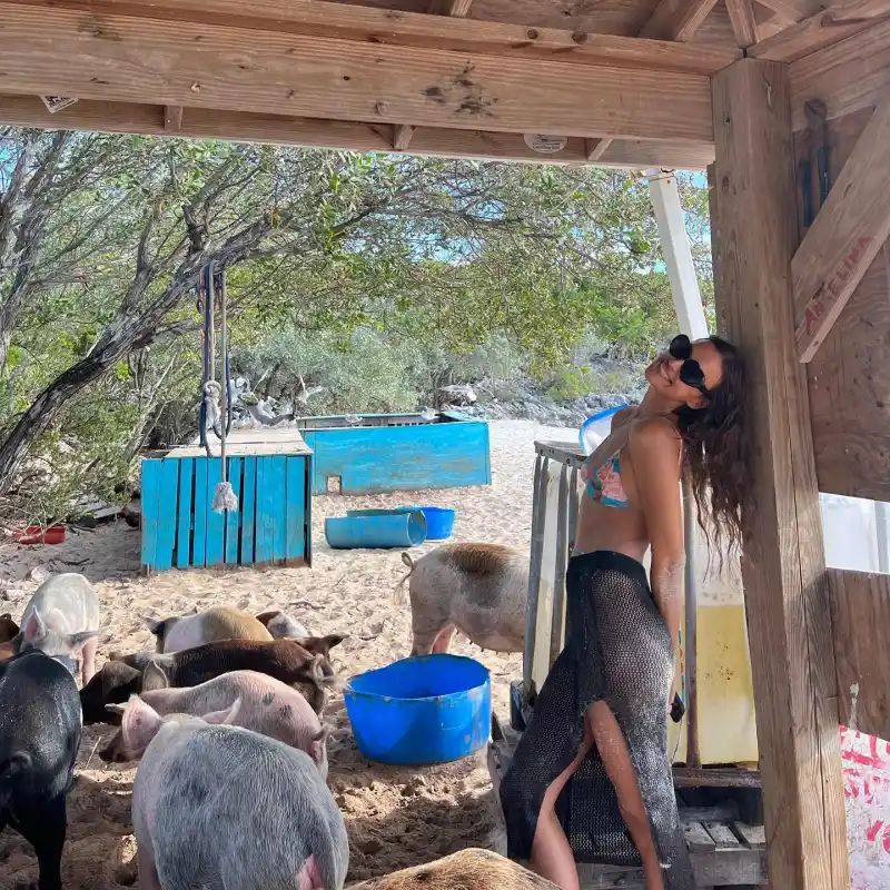 Shirtless Bradley Cooper Irina Shayk Feed, Swim With Pigs While on Vacation