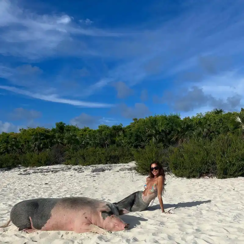 Shirtless Bradley Cooper Irina Shayk Feed, Swim With Pigs While on Vacation