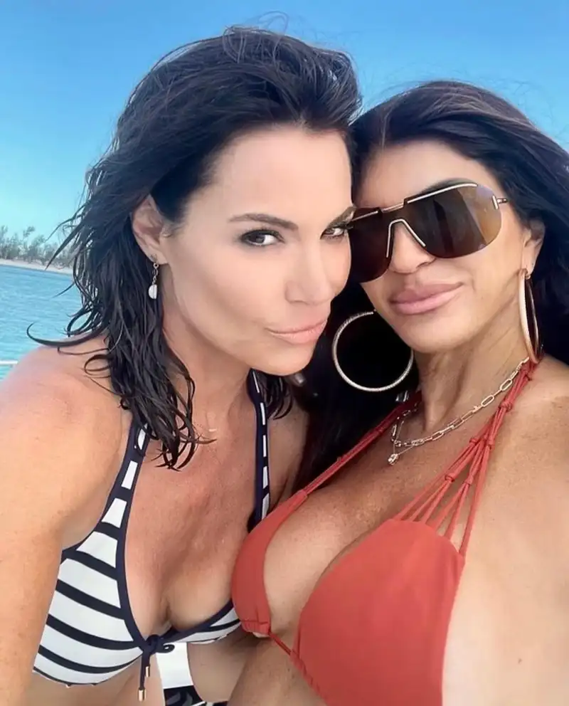 Stars Who Skipped Teresa Giudice and Luis Ruelas’ Wedding: Melissa Gorga, Andy Cohen and More