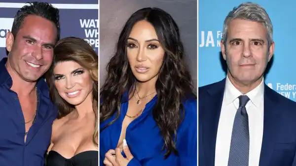 Stars Who Skipped Teresa Giudice and Luis Ruelas’ Wedding: Melissa Gorga, Andy Cohen and More