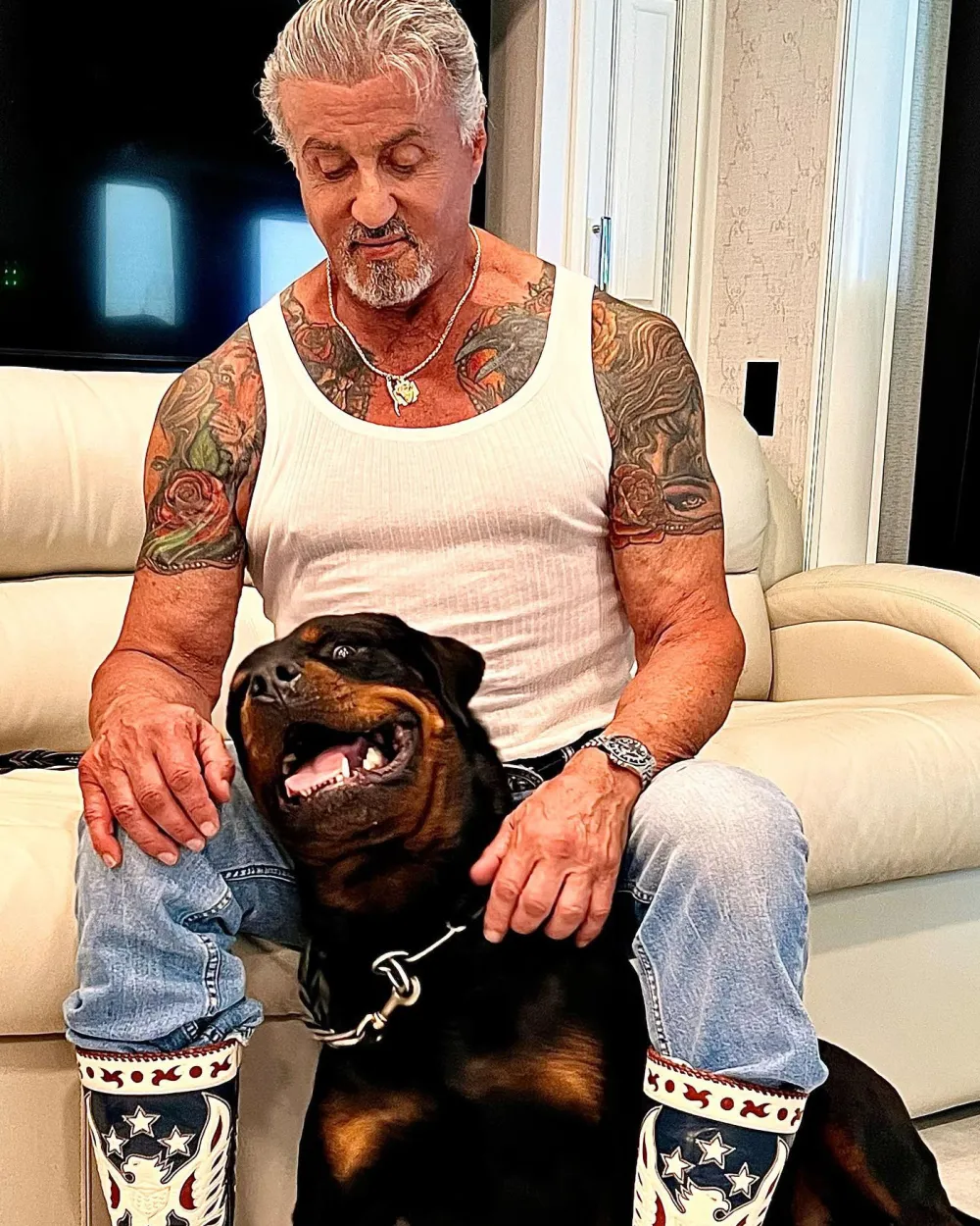 Sylvester Stallone Denies Dog Dwight Caused Split From Jennifer Flavin