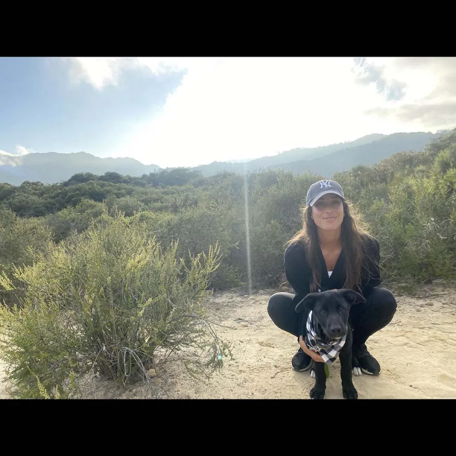 Who Is Ines de Ramon? 5 Things to Know About Paul Wesley’s Wife