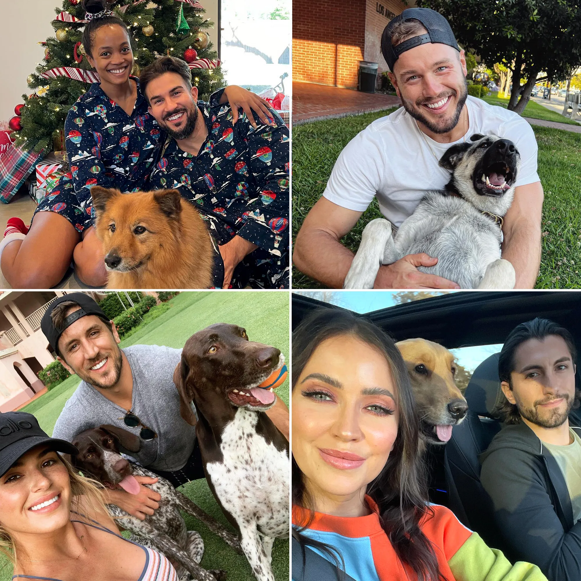 Meet Bachelor Nation&rsquo;s Dogs