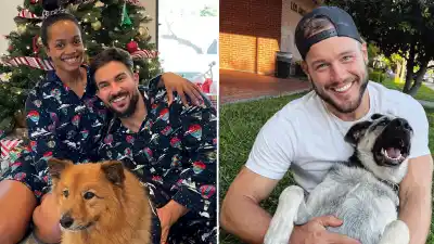 Meet Bachelor Nation’s Dogs
