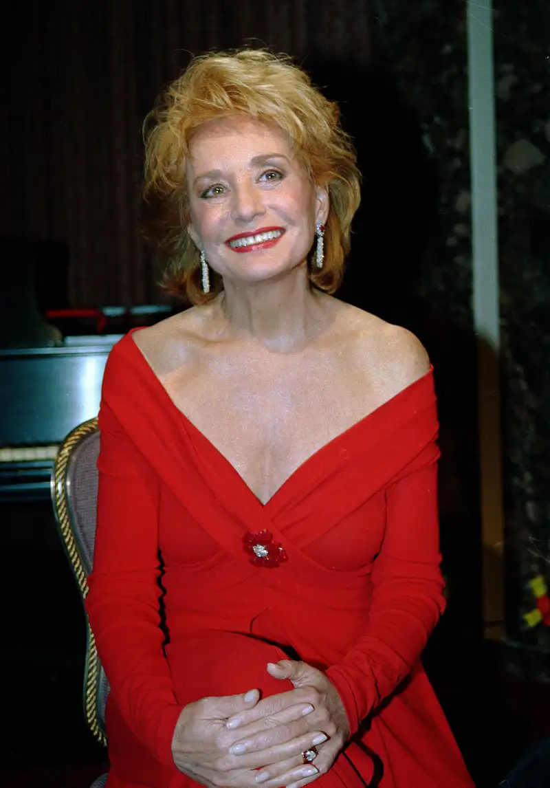 1990s Barbara Walters Through the Years