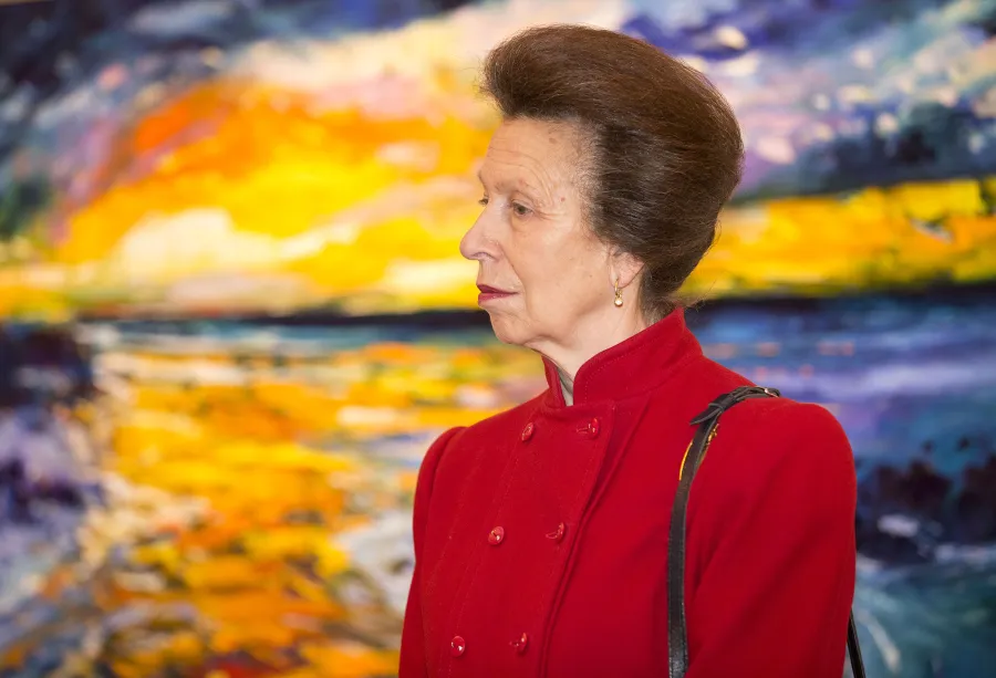 2010s 02 Princess Anne Through the Years