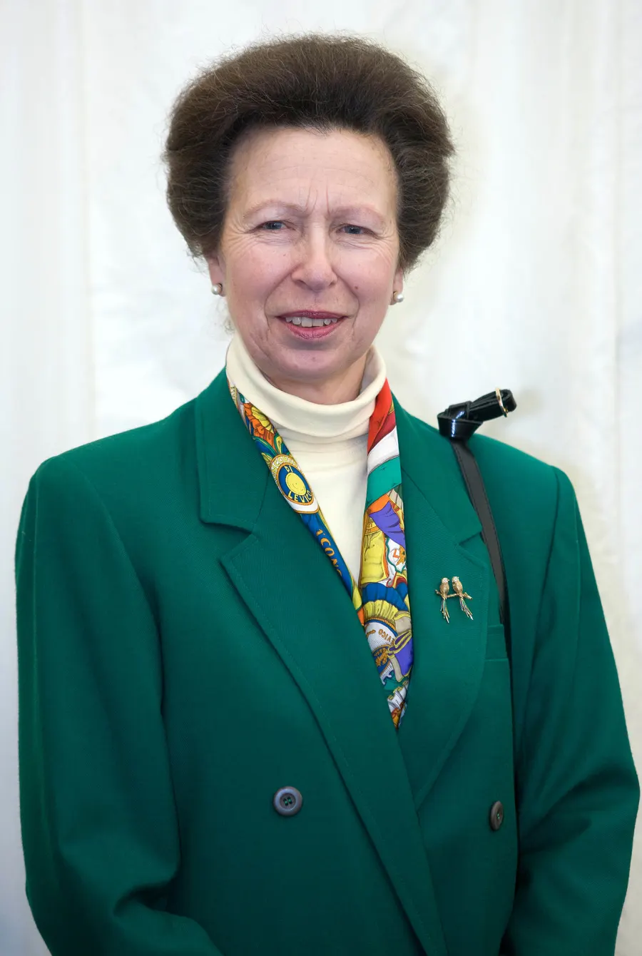 2010s Princess Anne Through the Years
