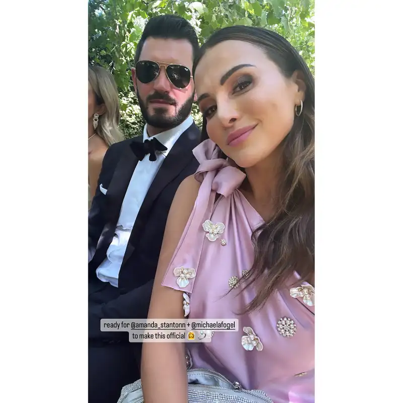 Bachelor Nation Alums Celebrate Amanda Stanton and Michael Fogel's Wedding: See Photos