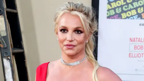 Britney Spears: 'A Huge Part of Me' Has Died Amid Sons' Estrangement, Family Drama