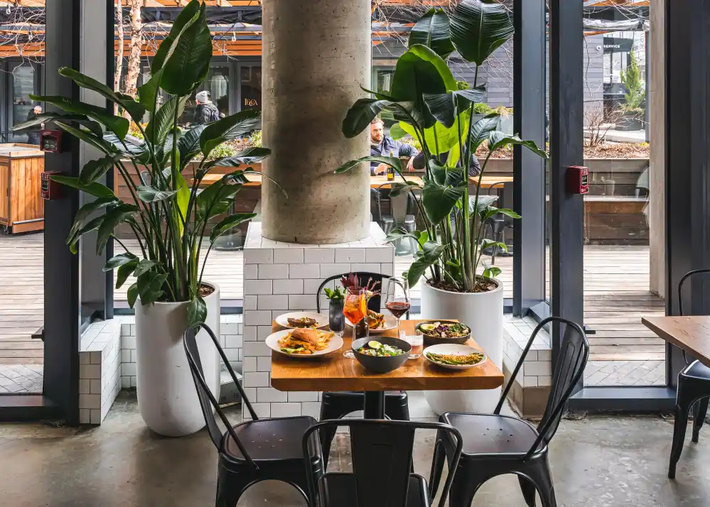 isla-co-restaurant-nyc