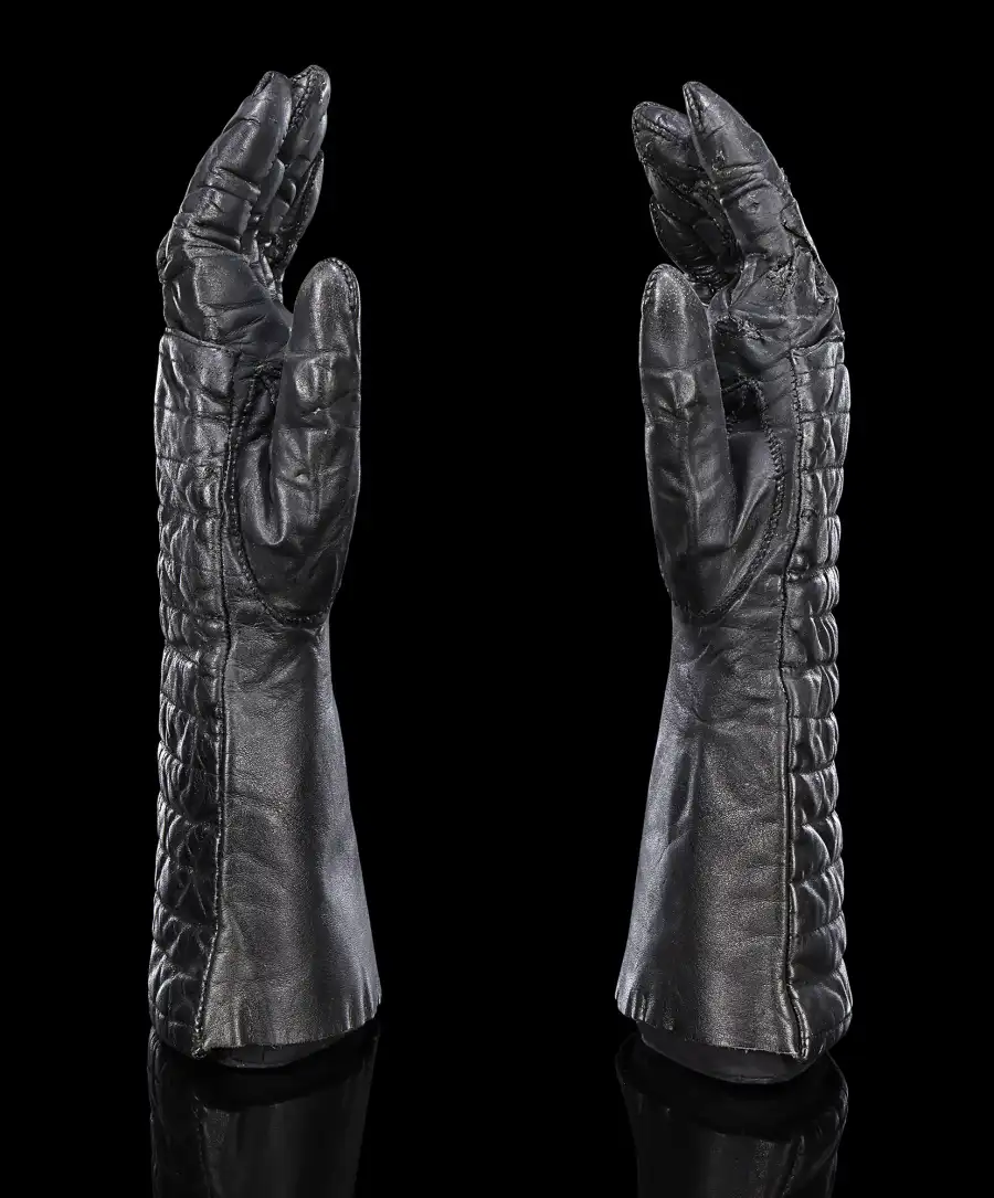 Darth Vader Gloves Movie Memorabilia Available for Auction