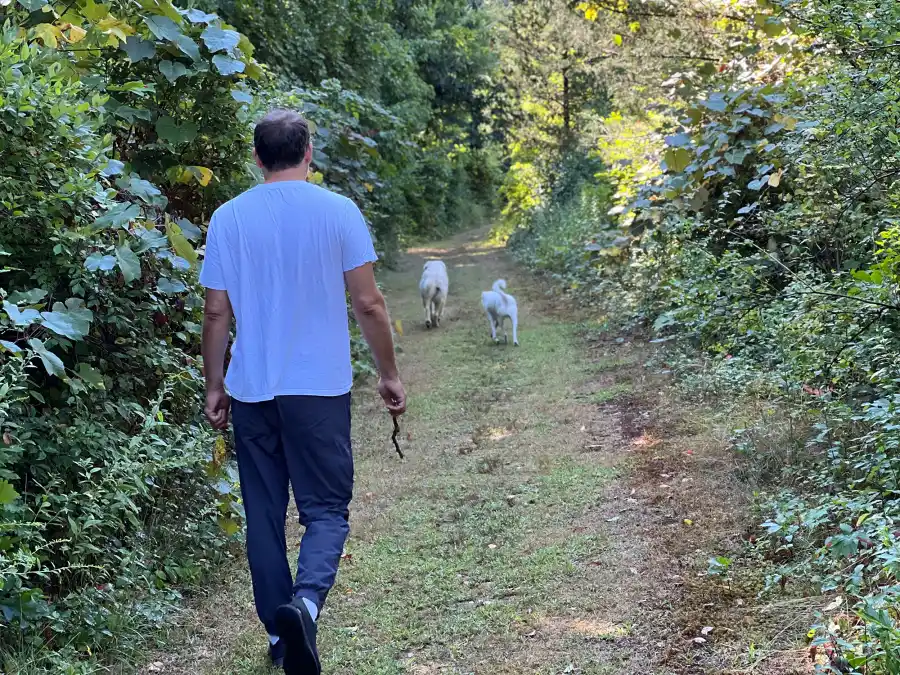 ‘FBI’ Star Jeremy Sisto: Inside a Day in My Life