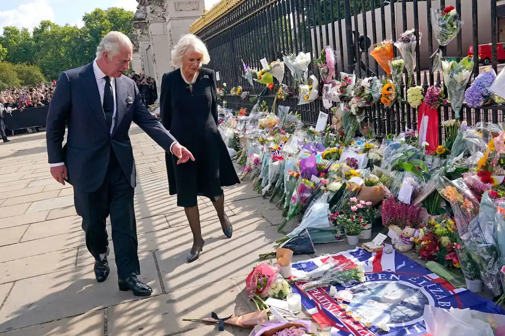 King Charles III Delivers Address to the Nation 3