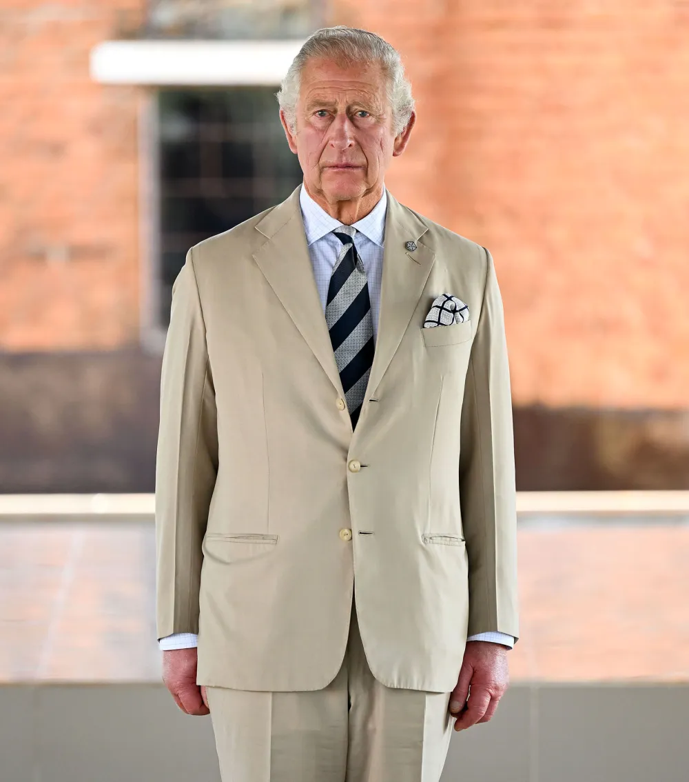 King Charles III's Call Out to Prince Harry and Meghan Markle in Speech Is an Olive Branch Royal Expert Says