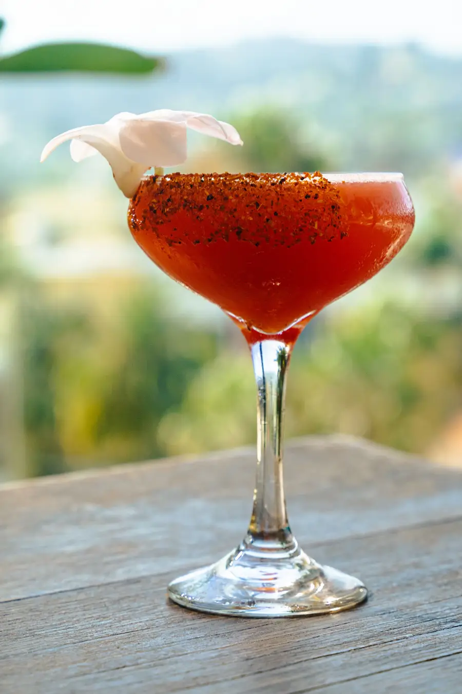 MAMA Shelter Los Angeles Draws Attention From Stars Like Kendall Jenner and Vanessa Hudgens