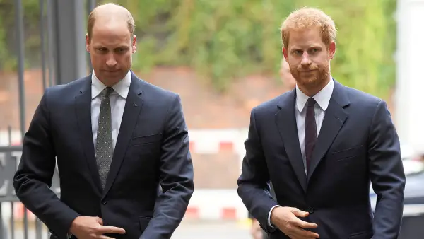 Prince William and Prince Harry’s Relationship Is Still ‘Dicey,’ Royal Expert Says After They Unite to Greet Mourners