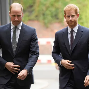 Prince William and Prince Harry’s Relationship Is Still ‘Dicey,’ Royal Expert Says After They Unite to Greet Mourners