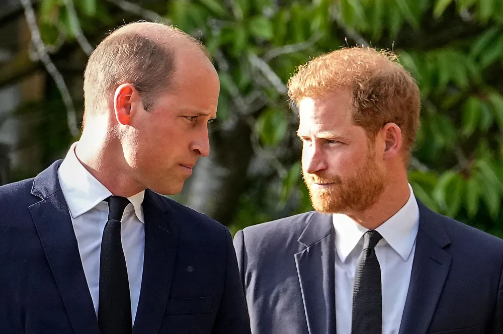 Prince William and Prince Harry&rsquo;s Relationship Is Still &lsquo;Dicey,&rsquo; Royal Expert Says After They Unite to Greet Mourners