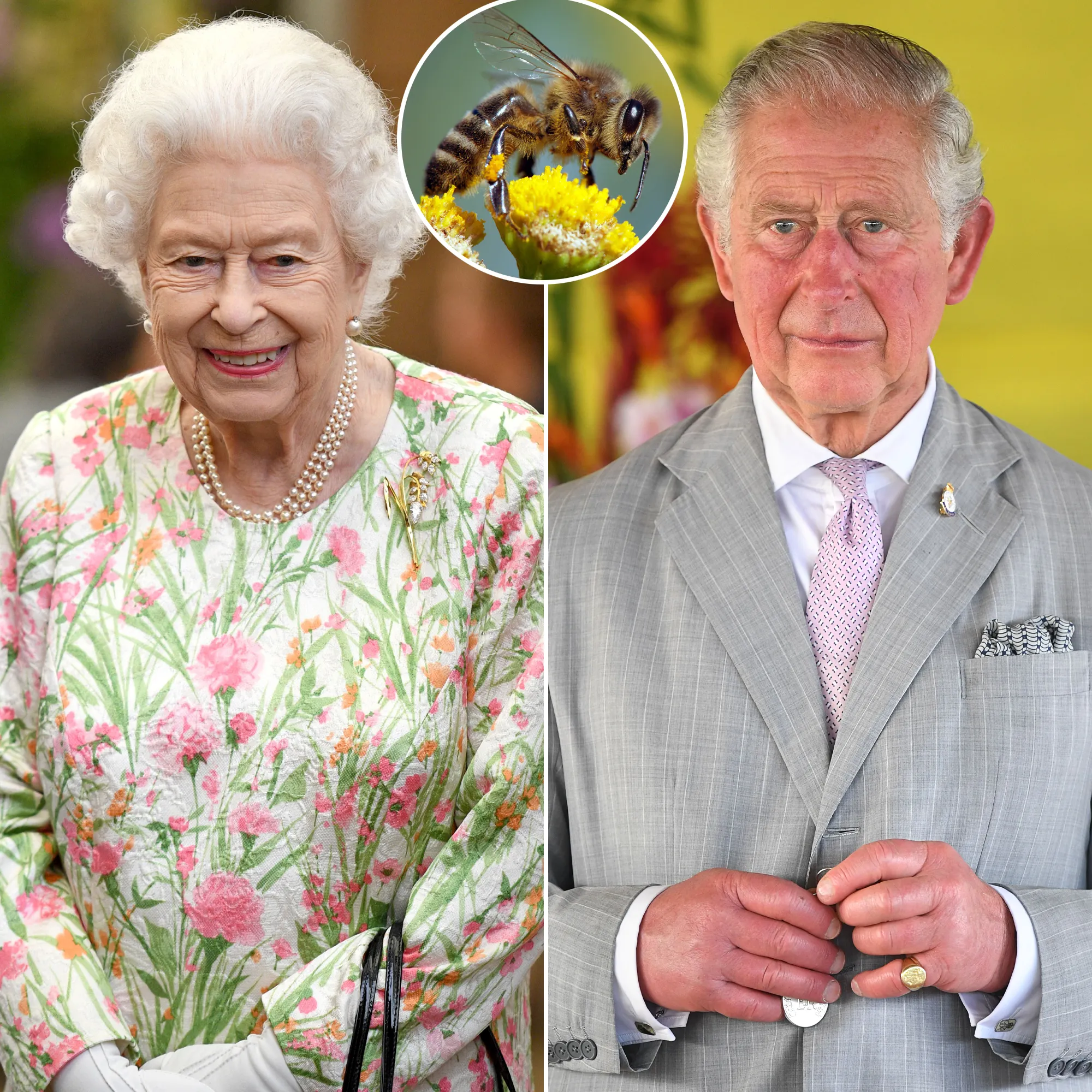 Queen Elizabeth II’s Bees Informed That King Charles III Is Now the New Monarch: Inside the Unusual Tradition