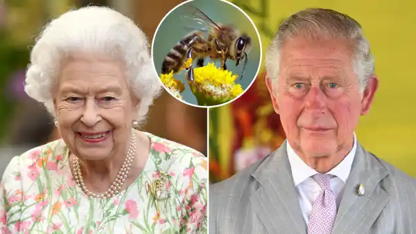 Queen Elizabeth II’s Bees Informed That King Charles III Is Now the New Monarch: Inside the Unusual Tradition