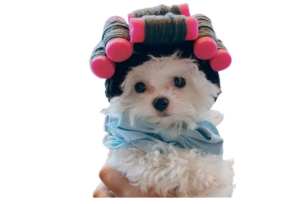 curlers costume