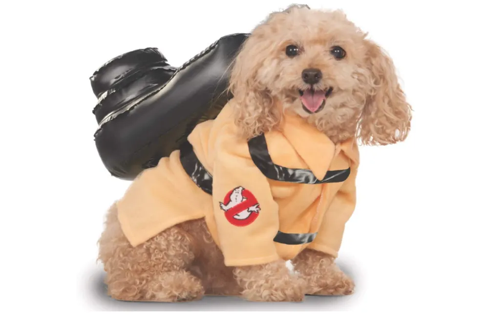 Ghostbusters costume