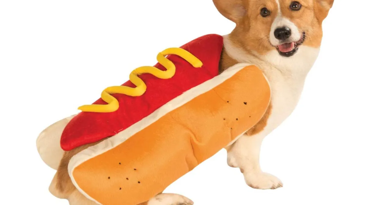 hot dog costume