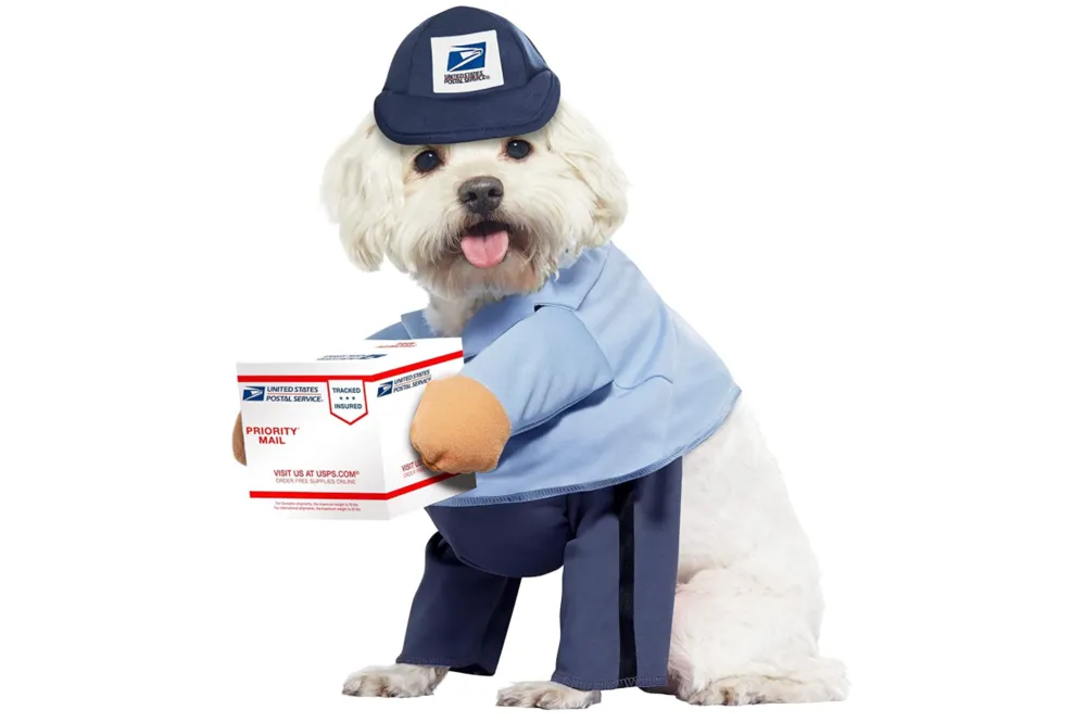 mail carrier costume