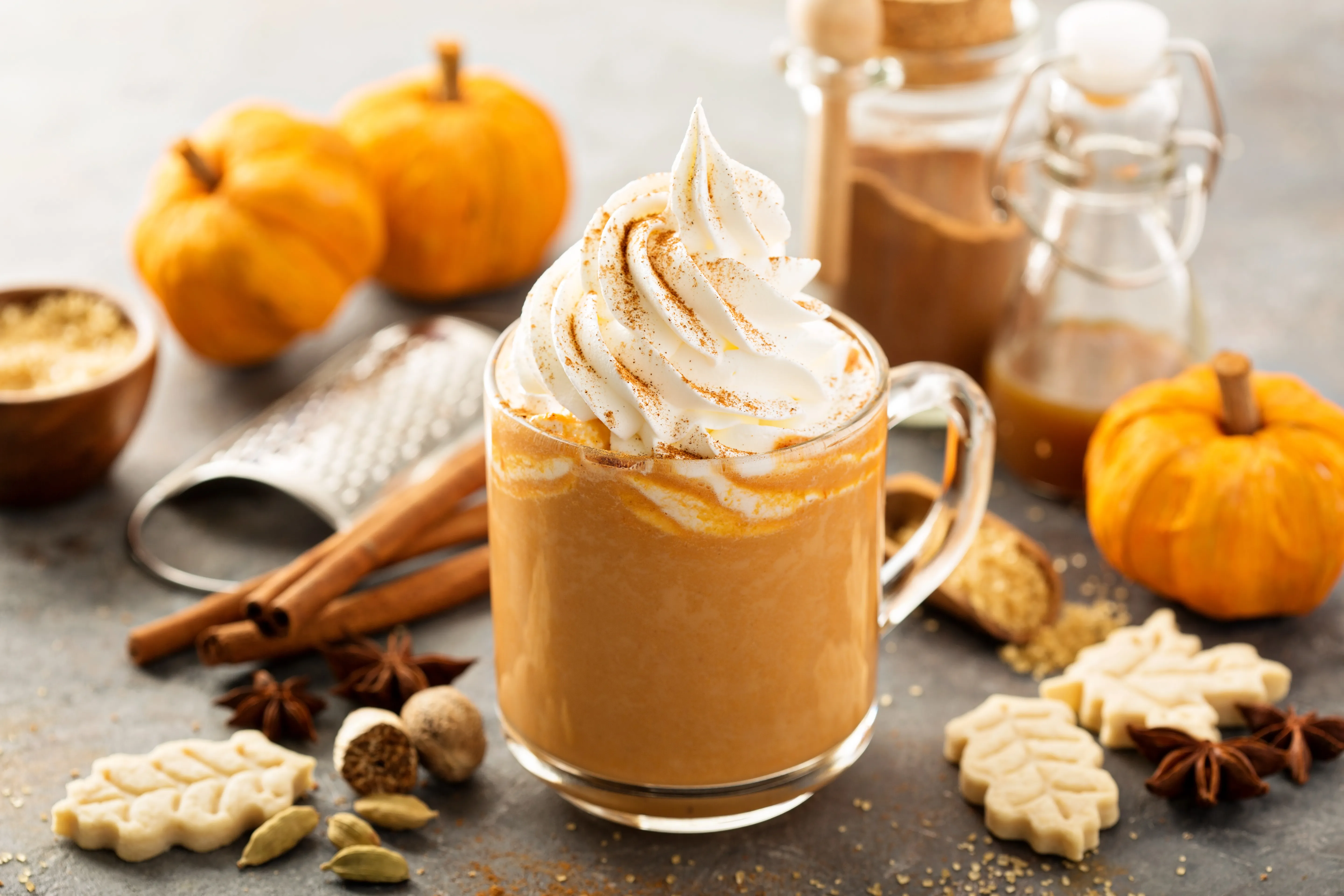 pumpkin spice bone broth protein