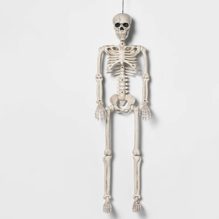 spooky skeleton