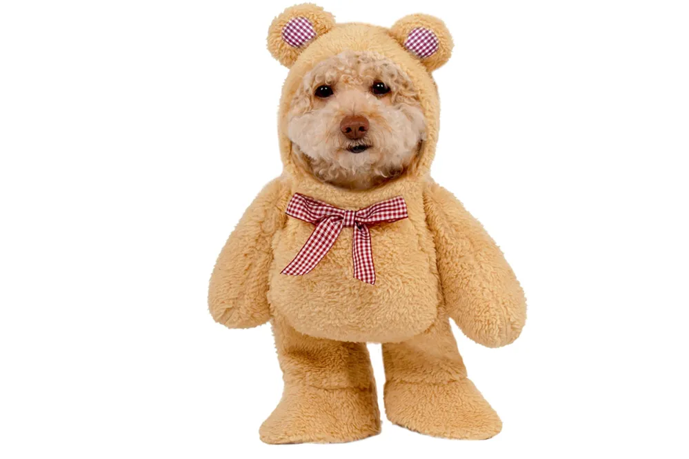 teddy bear costume