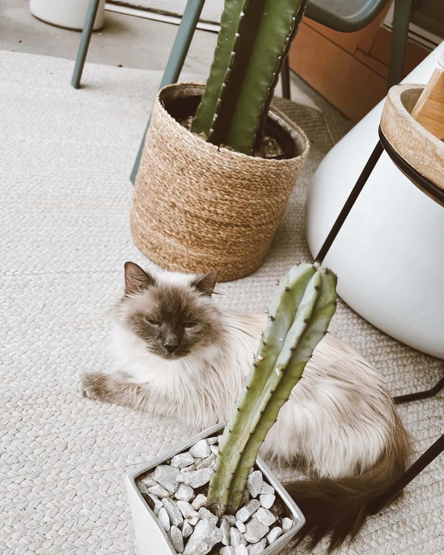 Bachelor in Paradise’s Danielle Maltby