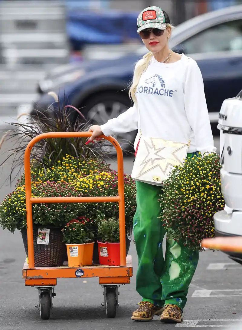 Gwen Stefani They Pull Carts Just Like Us